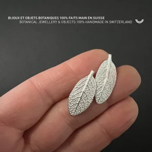 SALVIA OFFICINALIS clous d'oreilles – Image 3