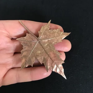BROCHE ACER PLATANOIDES – Image 3