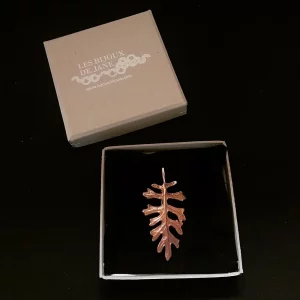 BROCHE JACOBAEA MARITIMA – Image 2