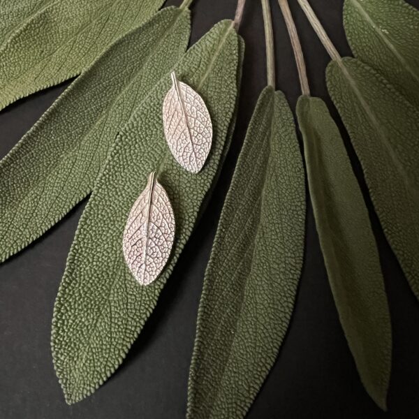 SALVIA OFFICINALIS clous d'oreilles