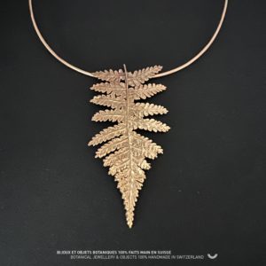 COLLIER-TORQUE FILICOPHYTA