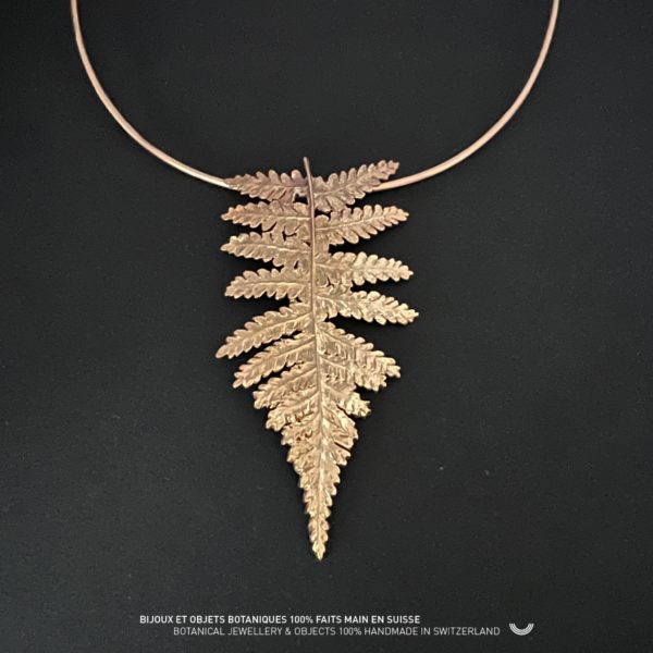 COLLIER-TORQUE FILICOPHYTA