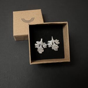 ARTEMISIA ABSINTHIUM clous d'oreilles – Image 3